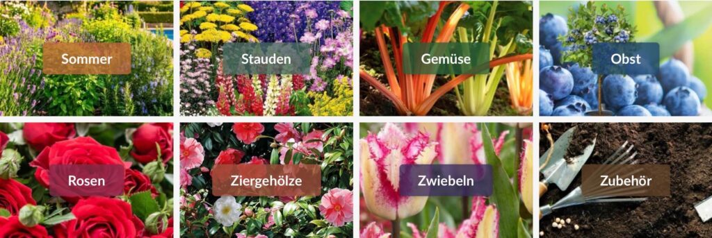 as-garten-angebote